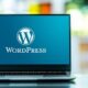 freelance wordpress